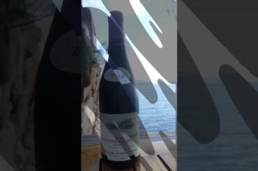 Domaine Taupenot Merme#WineLovers#WineEnthusiast#GrandCruWine#SommelierGuided#WinePairing#frenchwine