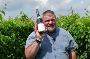 SATISFYING M Chapoutier 2021 Belleruche Blanc (France)