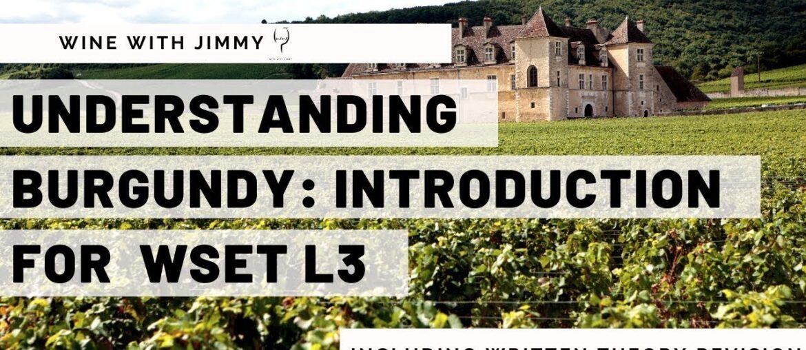Understanding The Burgundy Appellation structure for WSET Level 3