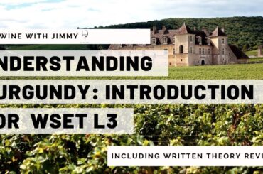 Understanding The Burgundy Appellation structure for WSET Level 3