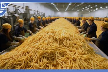 How Millions Of Tons Of French Fries Are Made From Harvesting Delicious Potatoes