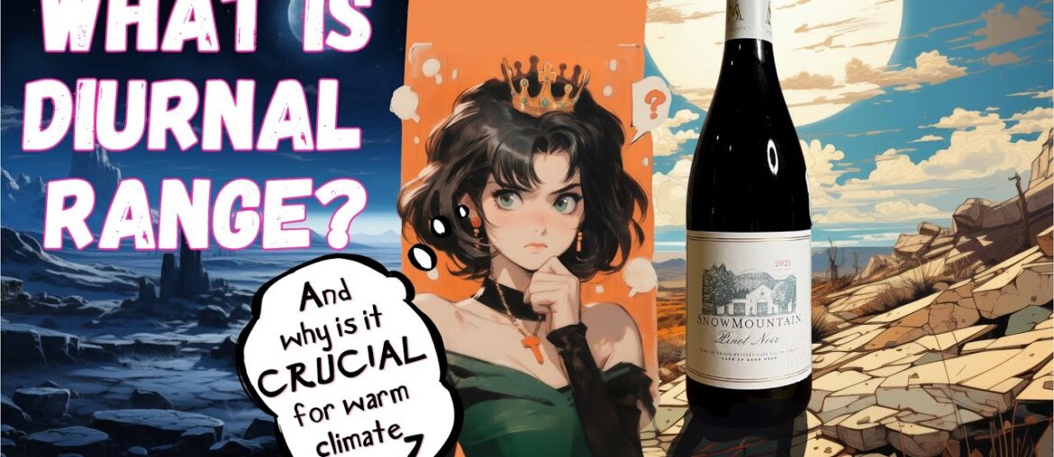 Wine Quality & Diurnal Range | Snow Mountain Pinot Noir 2021 | HanDrinksSolo Wine Review 260