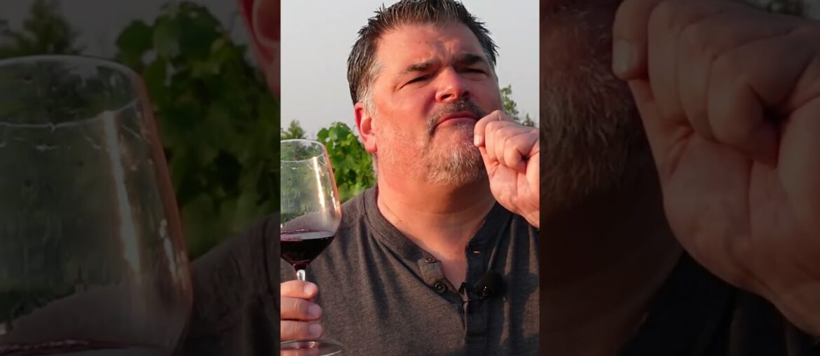 Short Review : De Simone Vineyards 2020 Merlot