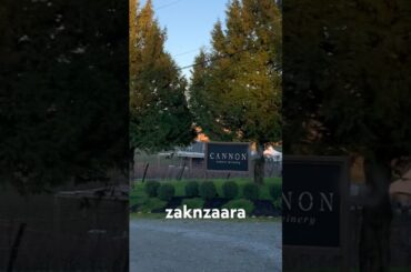 Cannon Estate Winery Abbotsford BC#zaknzaara#winerytour#winetasting#winery