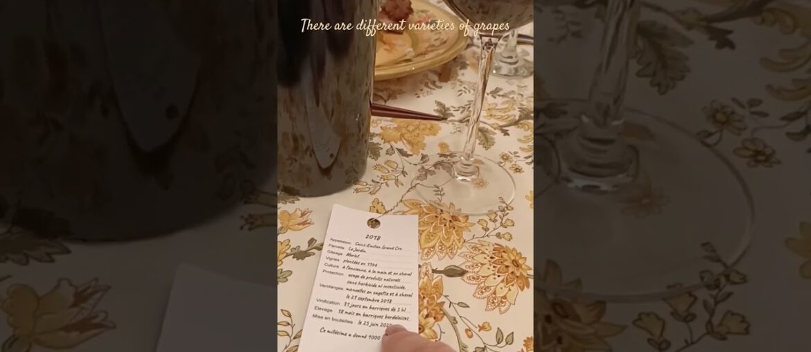 Wine tasting from a French vineyard you support!#winetasting #frenchwine