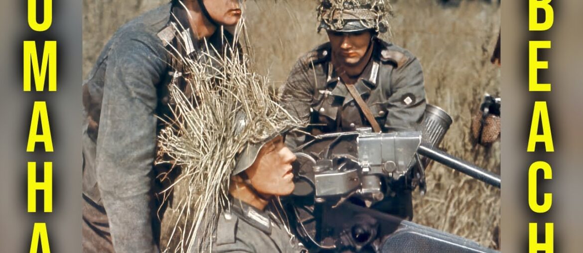 VOICES OF HISTORY PRESENTS - French Historian, Yves Cordelle, The Omaha Beach Landing, WWII