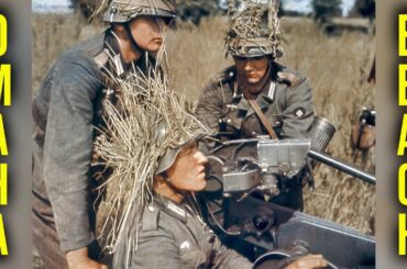 VOICES OF HISTORY PRESENTS - French Historian, Yves Cordelle, The Omaha Beach Landing, WWII