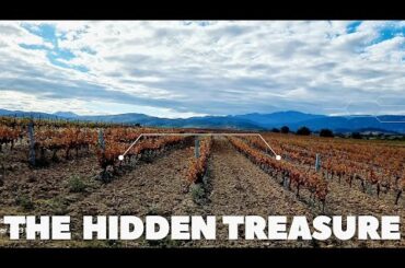 Enchanting Landscapes: Exploring the Countryside of Southern France