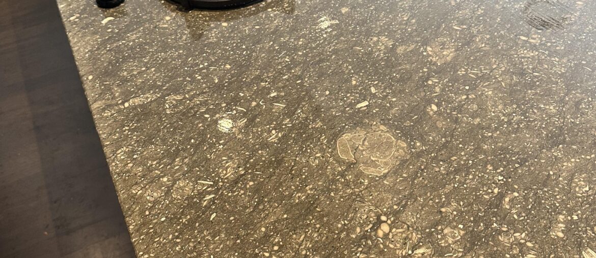 Natural stone with a crab fossil Natural stone with a crab fossil