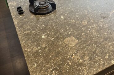 Natural stone with a crab fossil