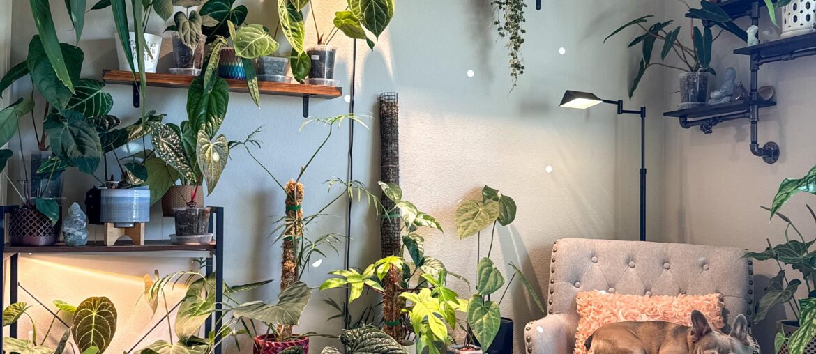 Plant Room/Office - Orlando, FL [3024 x 4032]