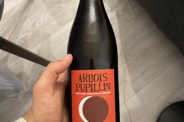 Ploussard from Jura. Bruyere - Houillon. tasting notes: cherry seed, light body, superbalanced acidity, herbal notes on the nose.