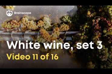 Wine 101: Medium- to Full-Bodied White Wines Quiz