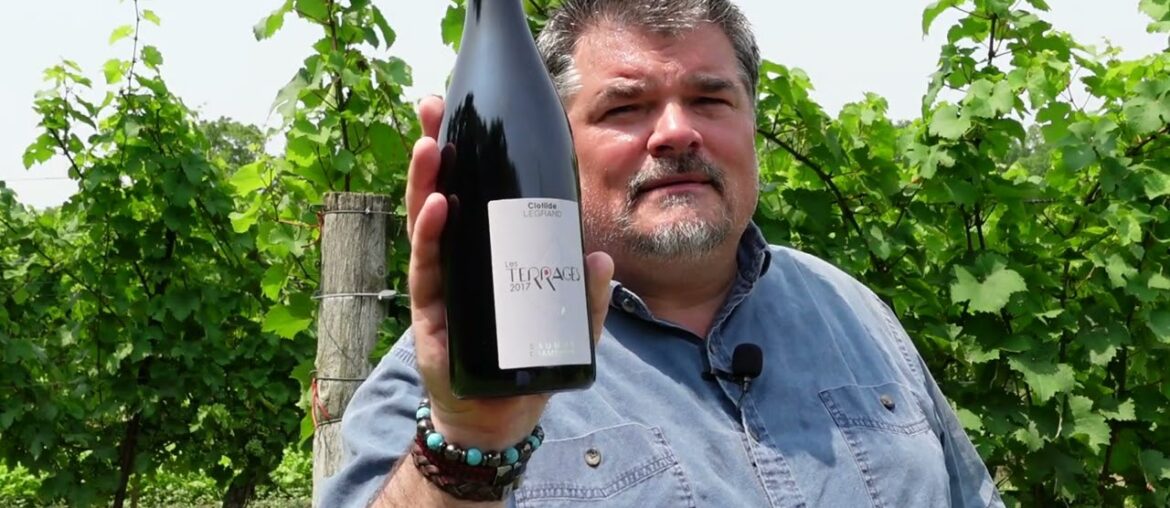 PALATE PLEASING Clotilde Legrand 2017 Les Terrages (France) PALATE PLEASING Clotilde Legrand 2017 Les Terrages (France)