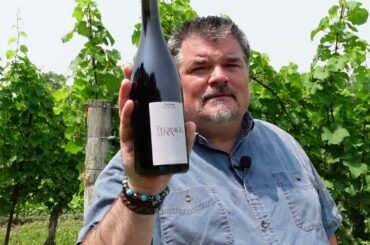 PALATE PLEASING Clotilde Legrand 2017 Les Terrages (France)