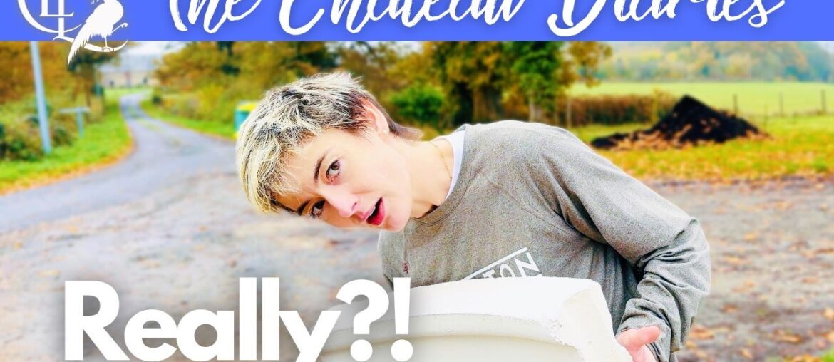 We made a bit of a mistake buying the fountain… We made a bit of a mistake buying the fountain...