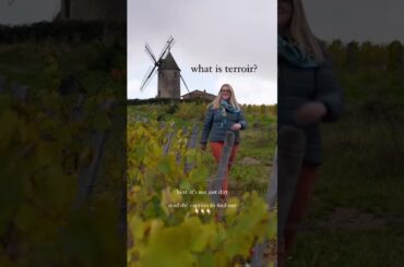 Terroir! What is it? This little word that means so much and yet is so simple at the same time.