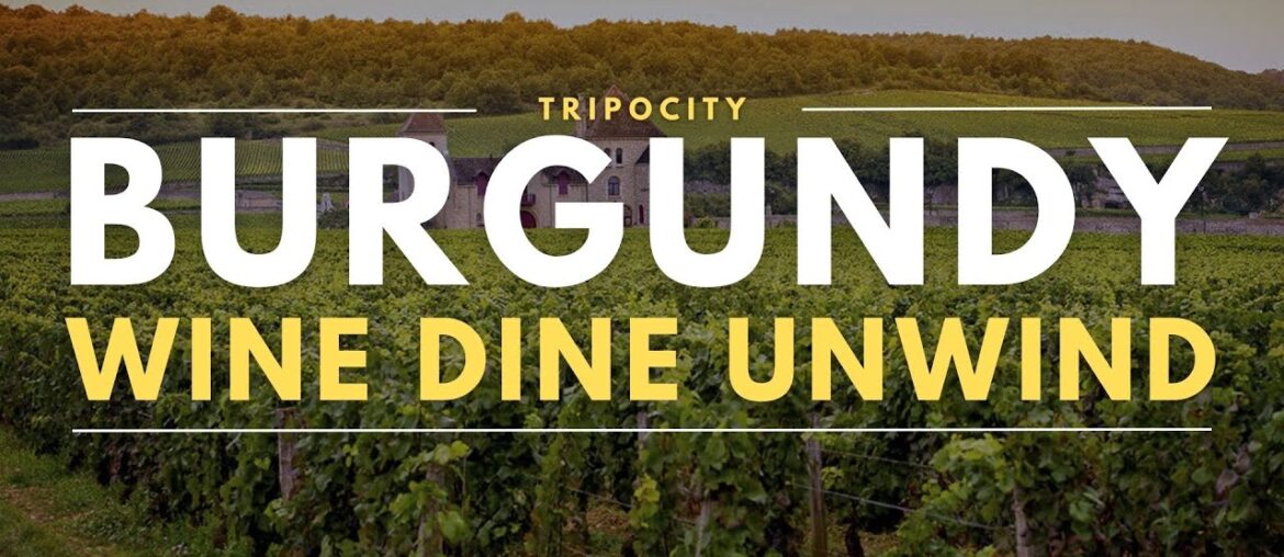 Burgundy's Hidden Vineyards: A Gastronomic Journey