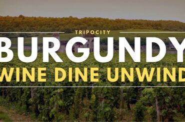 Burgundy's Hidden Vineyards: A Gastronomic Journey