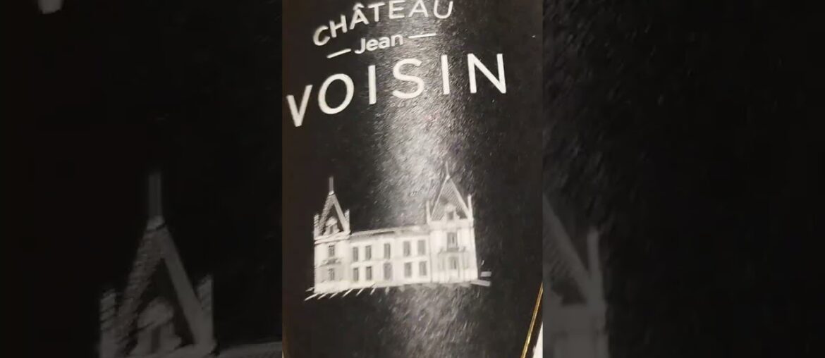 VLOG - WINE TASTING - FRENCH WINE - FRANCE BLOG #shorts