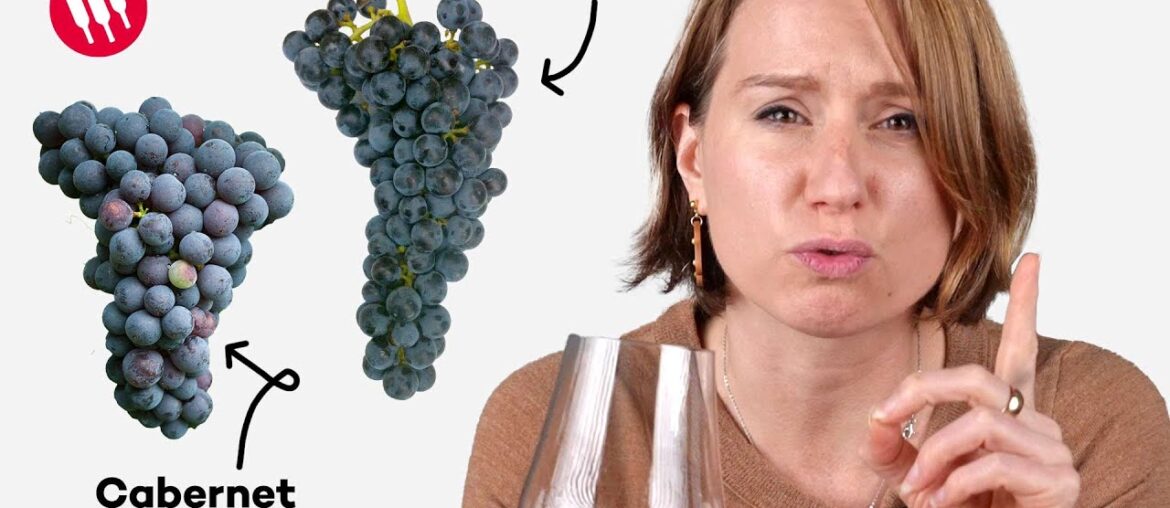 Learn by Tasting (ep. 25) Wine Folly