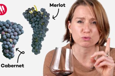 Learn by Tasting (ep. 25) Wine Folly