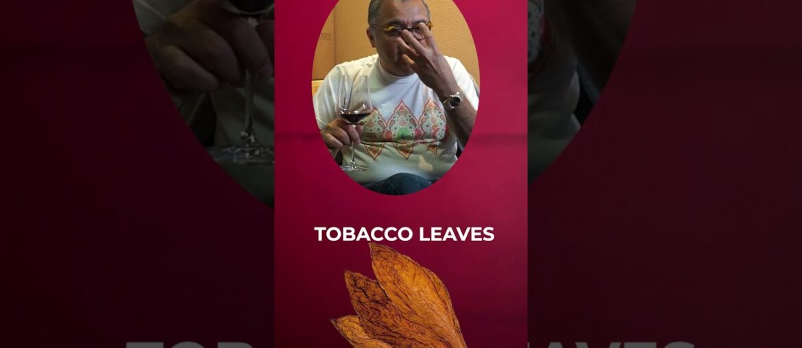 Paul Lato Cavatina #cabernetsauvignon 2019 #winereview | 94 Points & #giveaway #redwine Paul Lato Cavatina #cabernetsauvignon 2019 #winereview | 94 Points & #giveaway #redwine