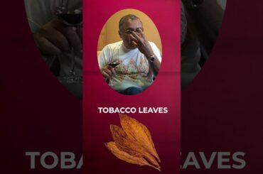 Paul Lato Cavatina #cabernetsauvignon 2019 #winereview  | 94 Points & #giveaway  #redwine