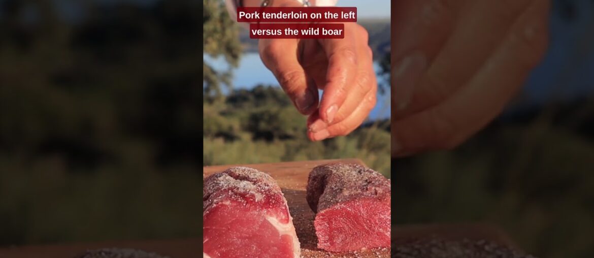 Wild Boar vs. Pork Tenderloin Wild Boar vs. Pork Tenderloin