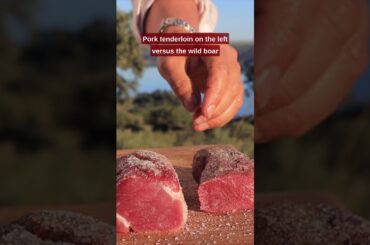 Wild Boar vs. Pork Tenderloin
