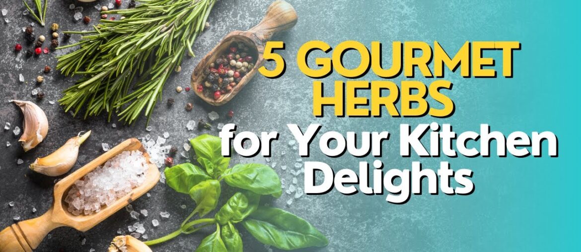 Top 5 Gourmet Herbs for Your Kitchen Delights Top 5 Gourmet Herbs for Your Kitchen Delights