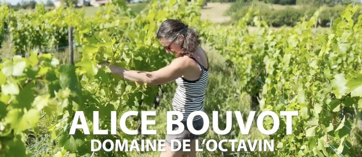 Domaine de l’Octavin | Alice Bouvot Domaine de l'Octavin | Alice Bouvot