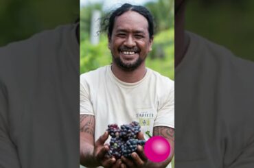 Worlds Most Isolated Winery #wine #shorts