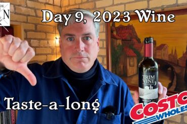 Day 9, 2023 Costco Around the World Wines with a Licensed Wine Educator Italian Merlot.