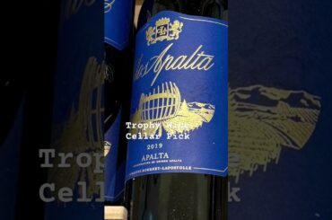 December 2023 Trophy Wine Cellar Pick - Clos Apalta 2019