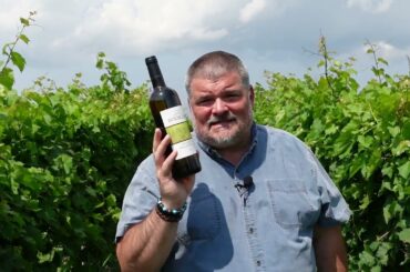 Chateau Boucasse 2017 Les Jardins Philosophiques (France)