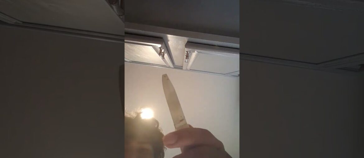 how to make french fries plus how to make wingstop fry seasoning (PART 1)