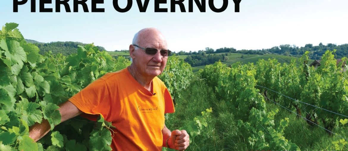 PIERRE OVERNOY | A Natural Wine Legend from Jura PIERRE OVERNOY | A Natural Wine Legend from Jura