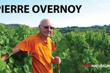 PIERRE OVERNOY | A Natural Wine Legend from Jura