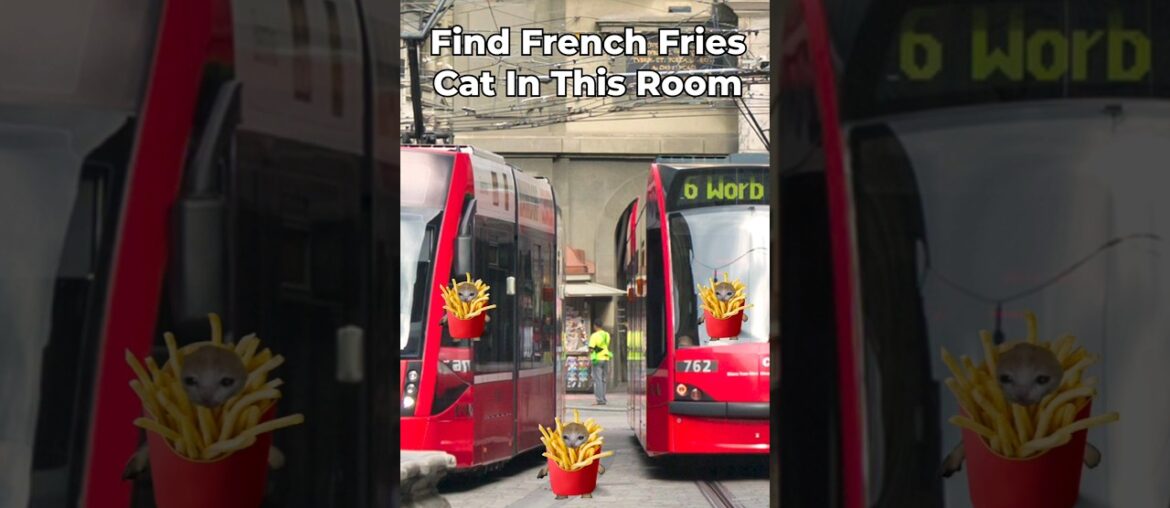 French Fries Cat Finding Challenge