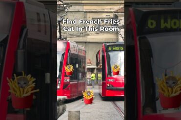 French Fries Cat Finding Challenge