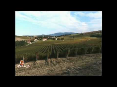 Arrogant Frog French wine from Langguedoc and The Wine Ladies TV Arrogant Frog French wine from Langguedoc and The Wine Ladies TV