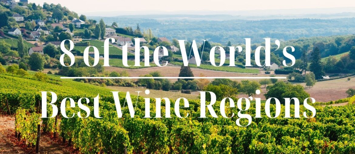From Napa to Bordeaux: Journey Through the World's Best Wine Regions