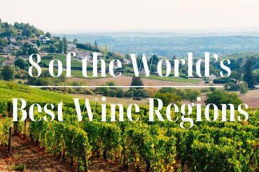 From Napa to Bordeaux: Journey Through the World's Best Wine Regions