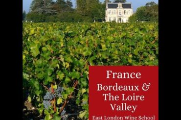 The Everyday Guide To Wine 2010 - French Regions Bordeaux and Loire ep.8