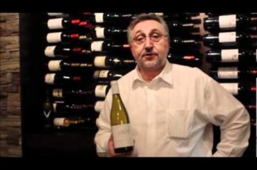 The French Table - Feature Wine Of The Week - Bourgogne Aligote