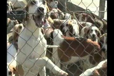 French Gourmet Cycling