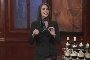 The Everyday Guide To Wine 2010 - French Regions Burgundy and Alsace ep.9