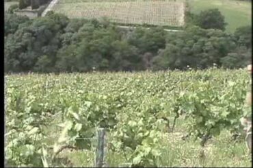 BICYCLE  GOURMET'S  TREASURES OF  FRANCE