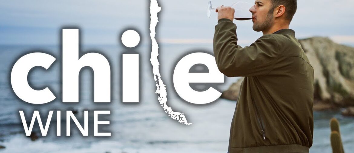 Wine Tour In Chile? Adventure In The World's Longest Country!